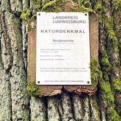 23-03-12 13-09-38 4782